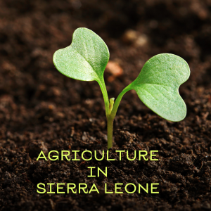 Agriculture in Sierra Leone